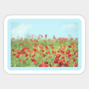 Daytime Poppy field Sticker